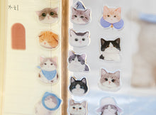Load image into Gallery viewer, Set of cat-themed stickers on a white background