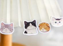 Load image into Gallery viewer, Four cat-shaped stickers on a white surface with a blurred background