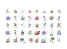 Load image into Gallery viewer, stickers for succulent plants

