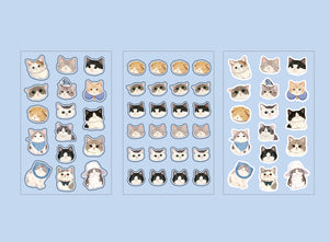 Set of cat-themed stickers on a blue background